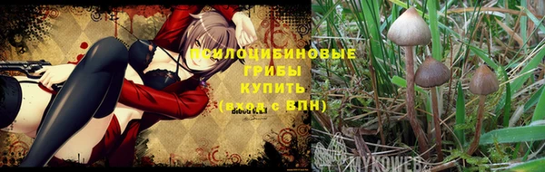 спиды Абинск